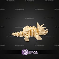Super Basic STL Skeleton Triceratops