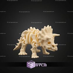 Super Basic STL Skeleton Triceratops