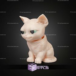 Super Basic STL Stitched Pack Sphynx