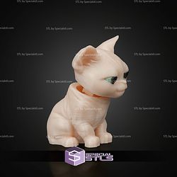 Super Basic STL Stitched Pack Sphynx