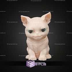Super Basic STL Stitched Pack Sphynx