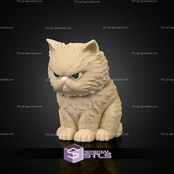 Super Basic STL Sweetheart Pack Persian