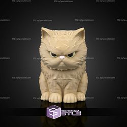 Super Basic STL Sweetheart Pack Persian