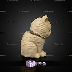 Super Basic STL Sweetheart Pack Persian
