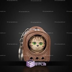 Super Basic STL Urban Pack Tabby