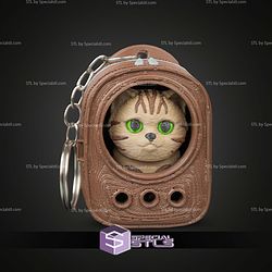 Super Basic STL Urban Pack Tabby
