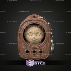 Super Basic STL Urban Pack Tabby