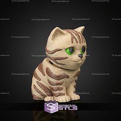 Super Basic STL Urban Pack Tabby