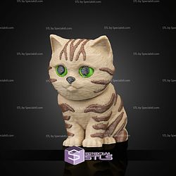 Super Basic STL Urban Pack Tabby