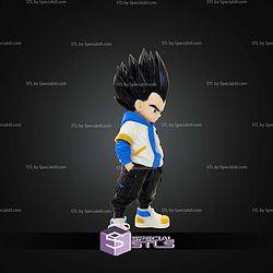 Super Basic STL Vegeta Urban Vibes