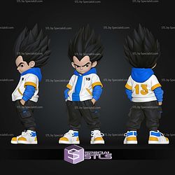 Super Basic STL Vegeta Urban Vibes