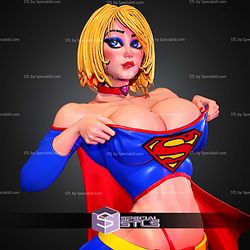 Supergirl Alternative Stylized 304mm STL Files