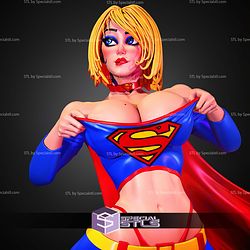 Supergirl Alternative Stylized 304mm STL Files