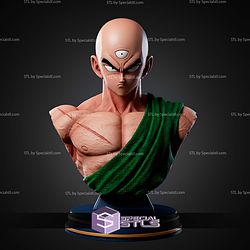 Ten Shin Han Bust STL Files