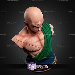 Ten Shin Han Bust STL Files