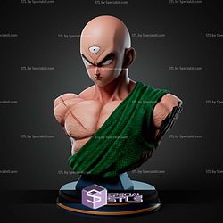 Ten Shin Han Bust STL Files