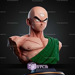 Ten Shin Han Bust STL Files