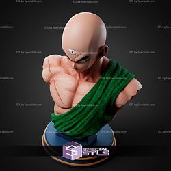 Ten Shin Han Bust STL Files