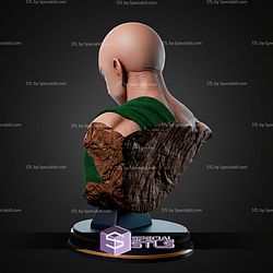 Ten Shin Han Bust STL Files