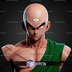 Ten Shin Han Bust STL Files