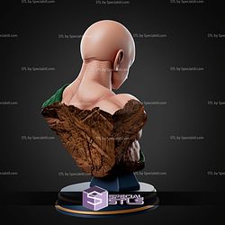 Ten Shin Han Bust STL Files