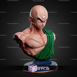 Ten Shin Han Bust STL Files