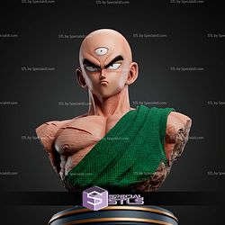 Ten Shin Han Bust STL Files