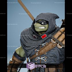 The Last Ronin Death Witness STL Files