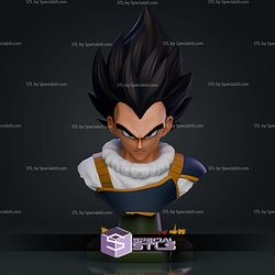 Vegeta Yardrat Dragonball Super Bust STL Files