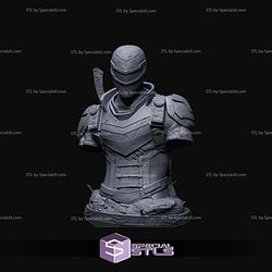 Vigilante DC Bust STL Files
