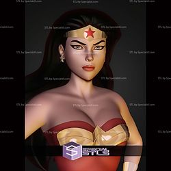 Wonder Woman Animated Museum Pose STL Files