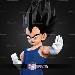 Young Vegeta Capsule STL Files