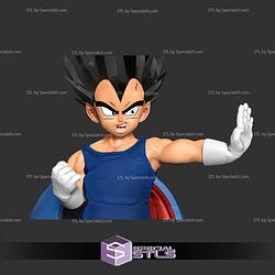 Young Vegeta Capsule STL Files