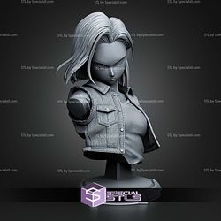 Android 18 Dragon Ball Z Bust 154mm STL Files