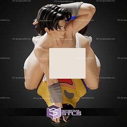 Anissa Invincible Curvy ALT STL Files