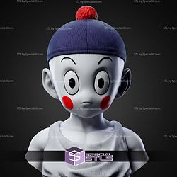 Chaoz Dragonball Z Bust STL Files