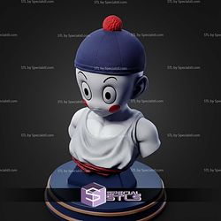 Chaoz Dragonball Z Bust STL Files