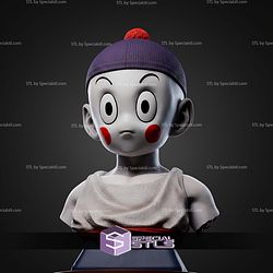 Chaoz Dragonball Z Bust STL Files