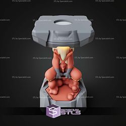 Pokemon Clone Lab Colletion Blaziken STL Files
