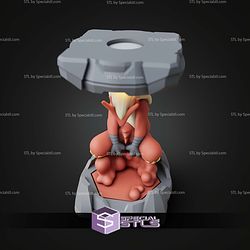 Pokemon Clone Lab Colletion Blaziken STL Files