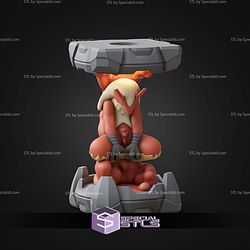 Pokemon Clone Lab Colletion Blaziken STL Files