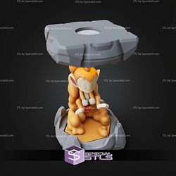 Pokemon Clone Lab Colletion Chimchar STL Files