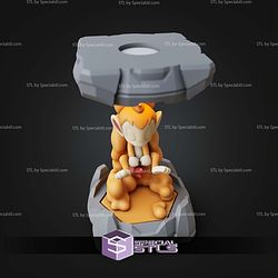 Pokemon Clone Lab Colletion Chimchar STL Files