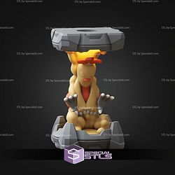 Pokemon Clone Lab Colletion Combusken STL Files