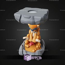 Pokemon Clone Lab Colletion Monferno STL Files