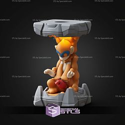 Pokemon Clone Lab Colletion Monferno STL Files