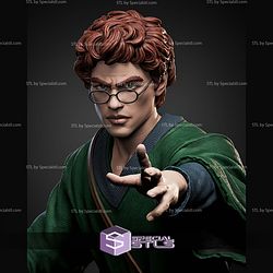 Presto Dungeons And Dragons STL Files