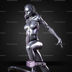 Shalla Bal Silver Surfer Cloud STL Files
