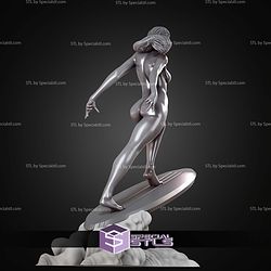 Shalla Bal Silver Surfer Cloud STL Files