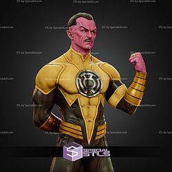 Sinestro Power Museum Pose 1 6 STL Files